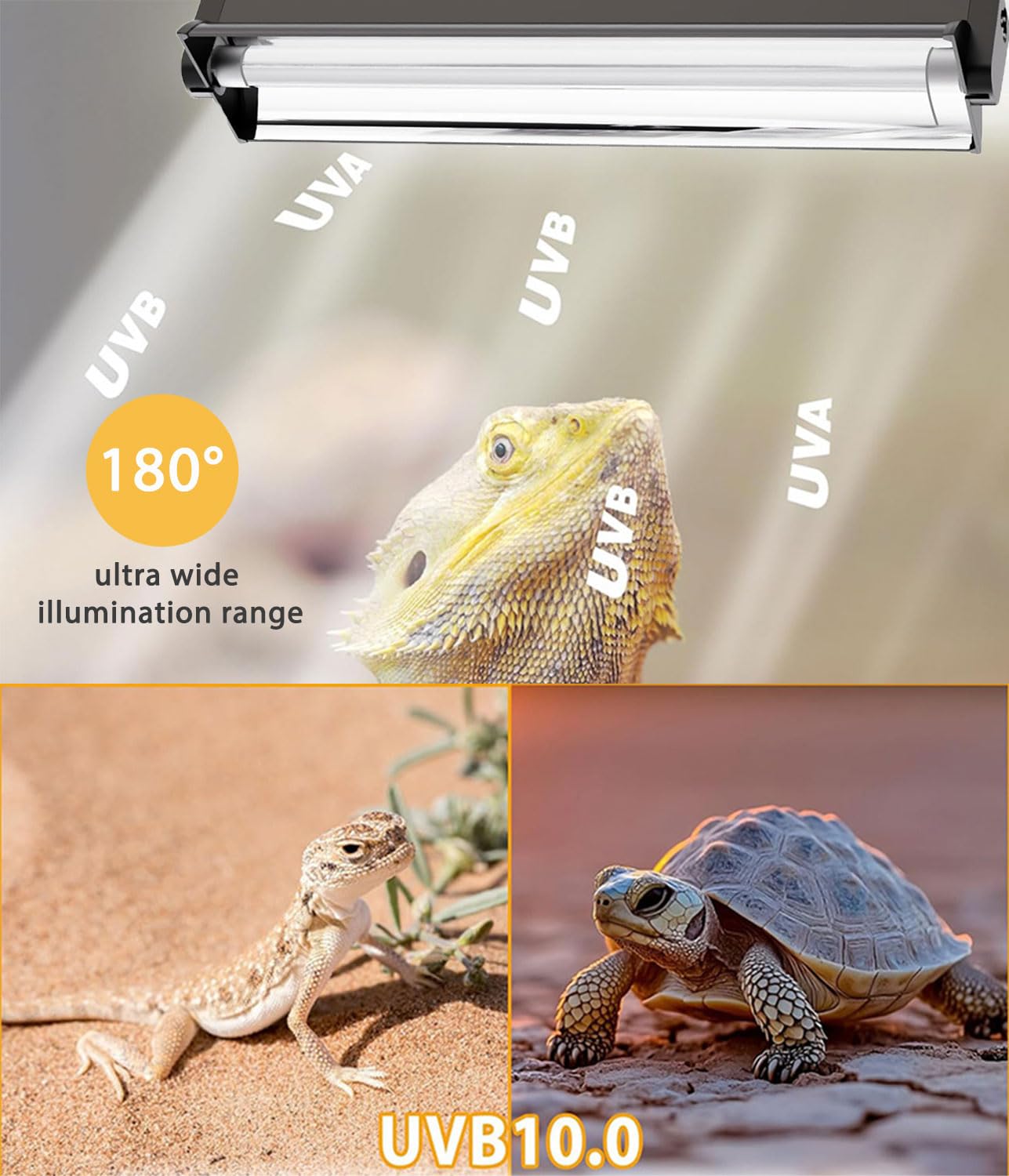 MouMouPurr military-grade reflector boosts UVB output for stronger basking