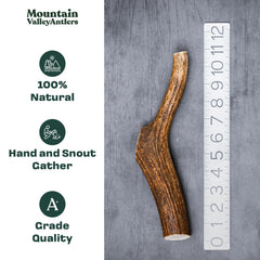 Mountain Valley Antlers dense texture closeup highlights long-lasting dog chew