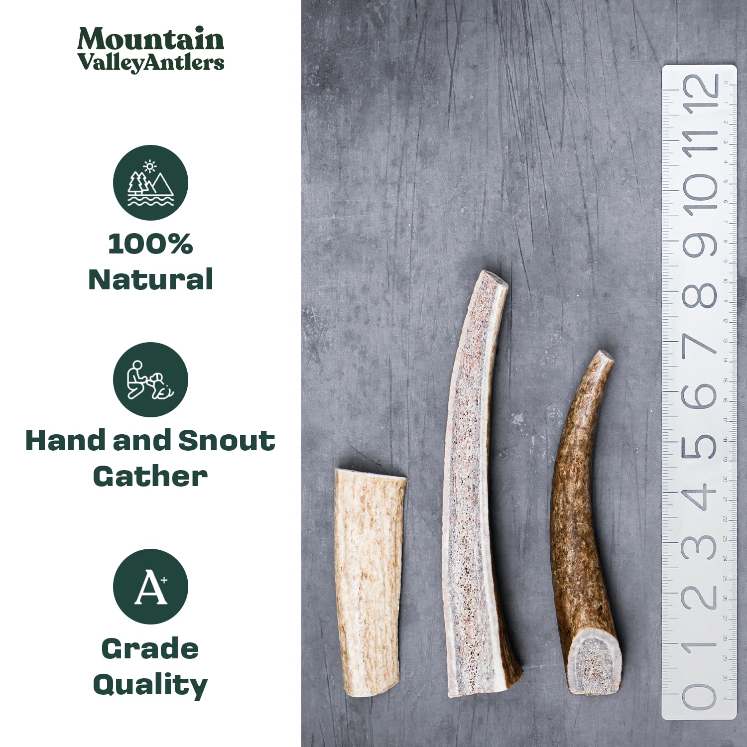 Mountain Valley Antlers dog-chew action shot for aggressive chewers outdoors.