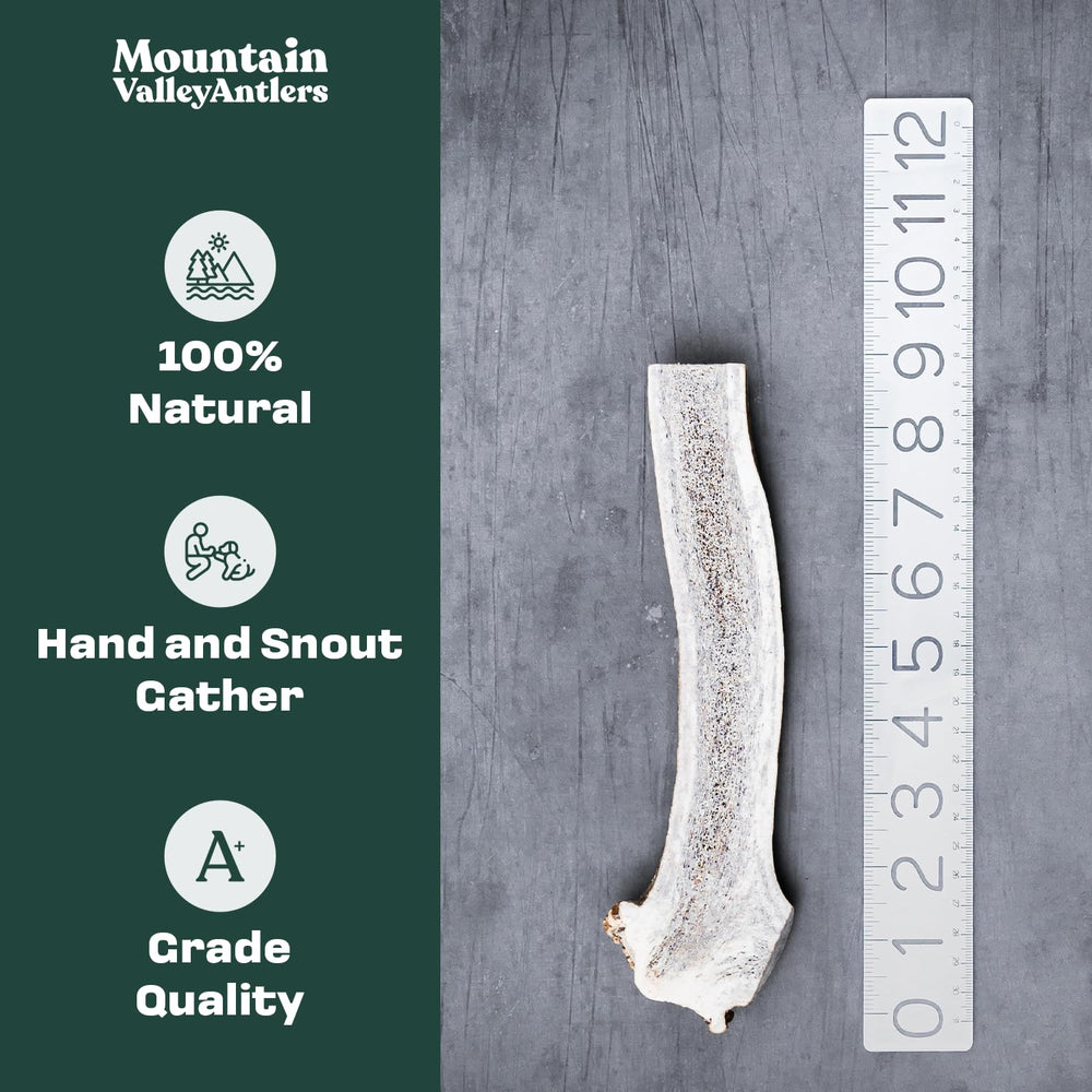 Mountain Valley Antlers dog chew long-lasting durability for aggressive chewers