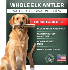 Mountain Valley Antlers elk-antler dog-chew for strong teeth during heavy chews