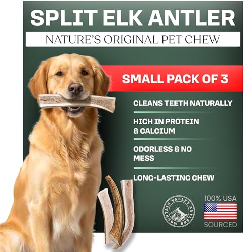 Mountain Valley Antlers elk antler split small pack closeup for long-lasting dog chew
