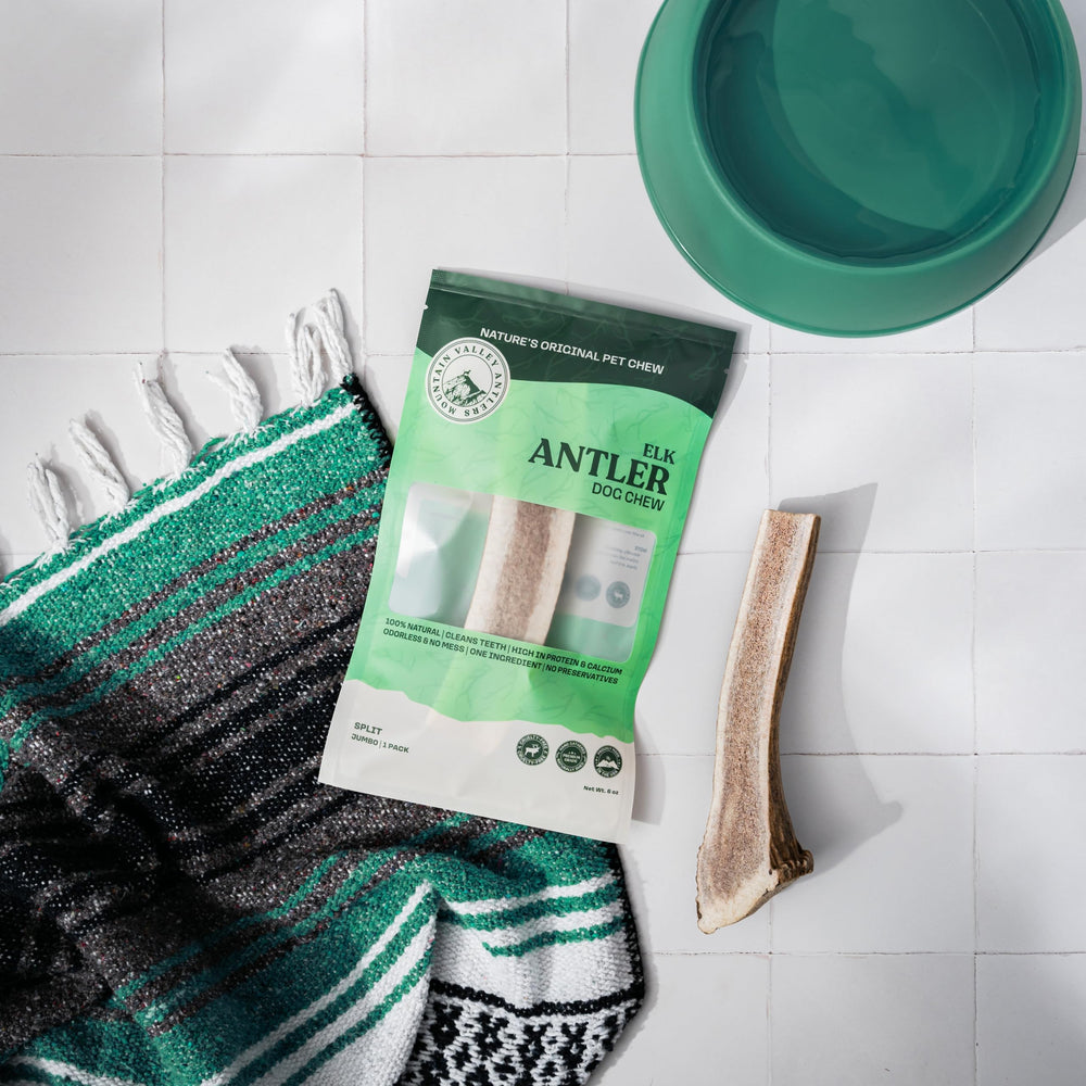 Mountain Valley Antlers grade-a split jumbo for enhanced visibility and longer chew sessions.