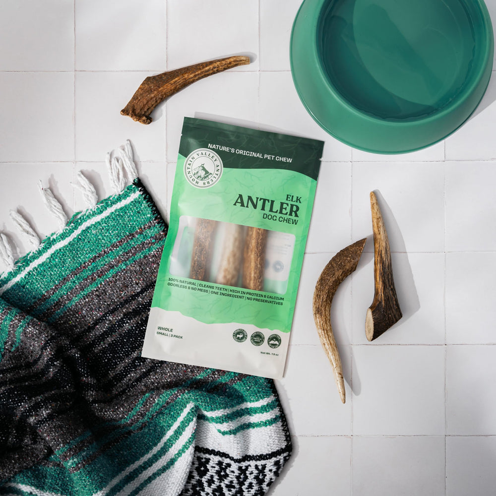 Mountain Valley Antlers grade-a-whole-small-pack illustrates convenient 3-pack, small-breed friendly option