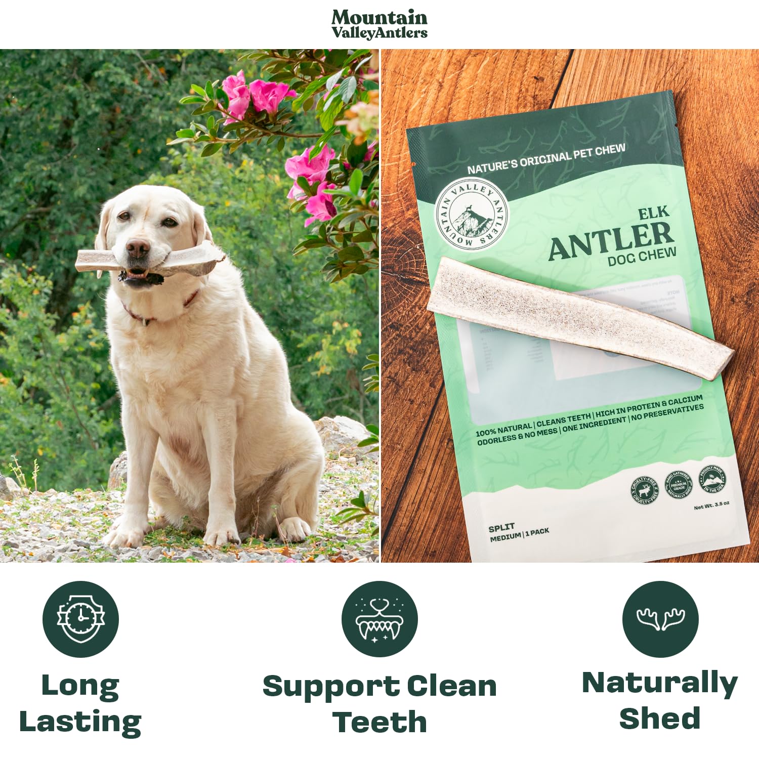 Mountain Valley Antlers durable chew texture ready for aggressive chewers during playtime.