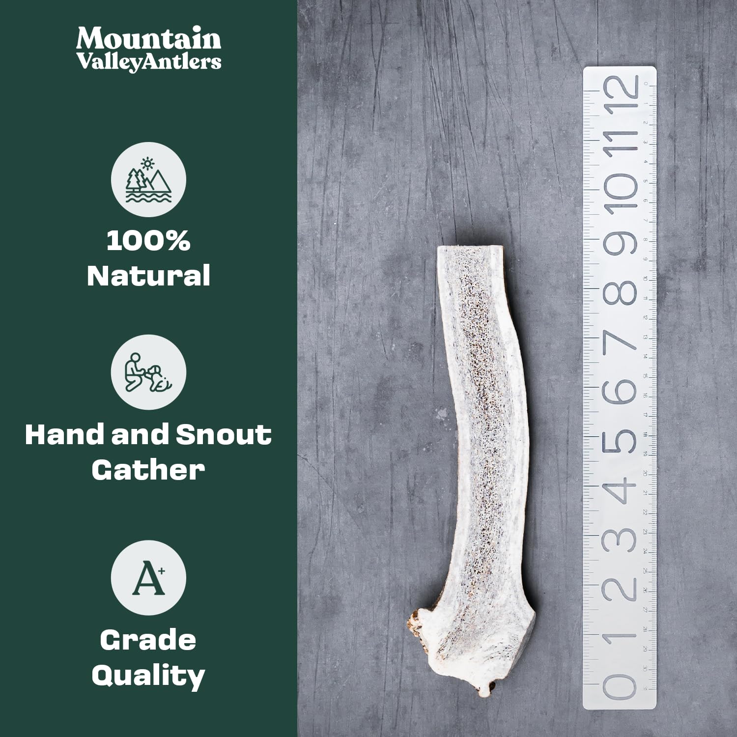 Mountain Valley Antlers natural organic dog chew close-up highlighting calcium-rich nutrition.