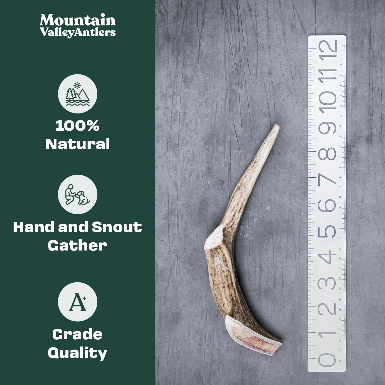 Mountain Valley Antlers natural shed deer antlers — odorless, mess-free indoor chewing.