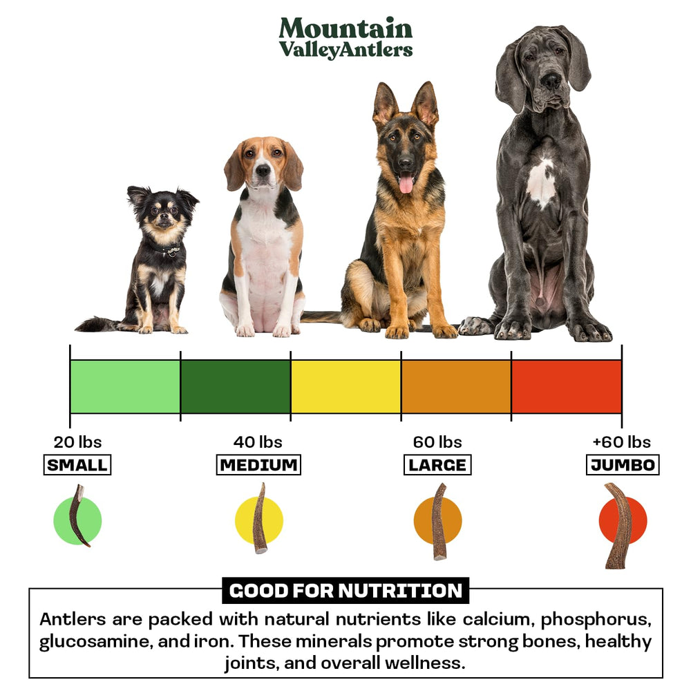 Mountain Valley Antlers odor-free-design shows indoor-friendly, clean-chew experience