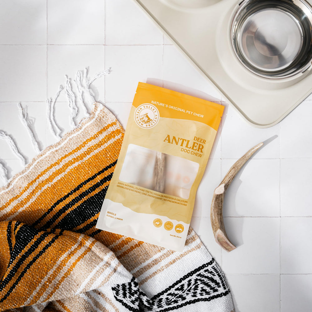 Mountain Valley Antlers whole jumbo antler — natural, long-lasting chewing option.