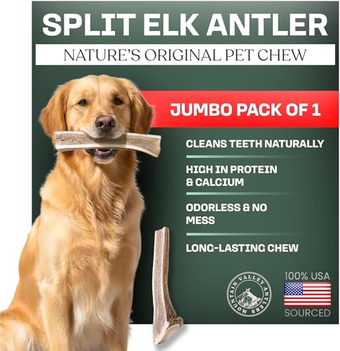 Mountain Valley Antlers wild-foraged elk antler pack shown for dogs, promotes long-lasting chewing.