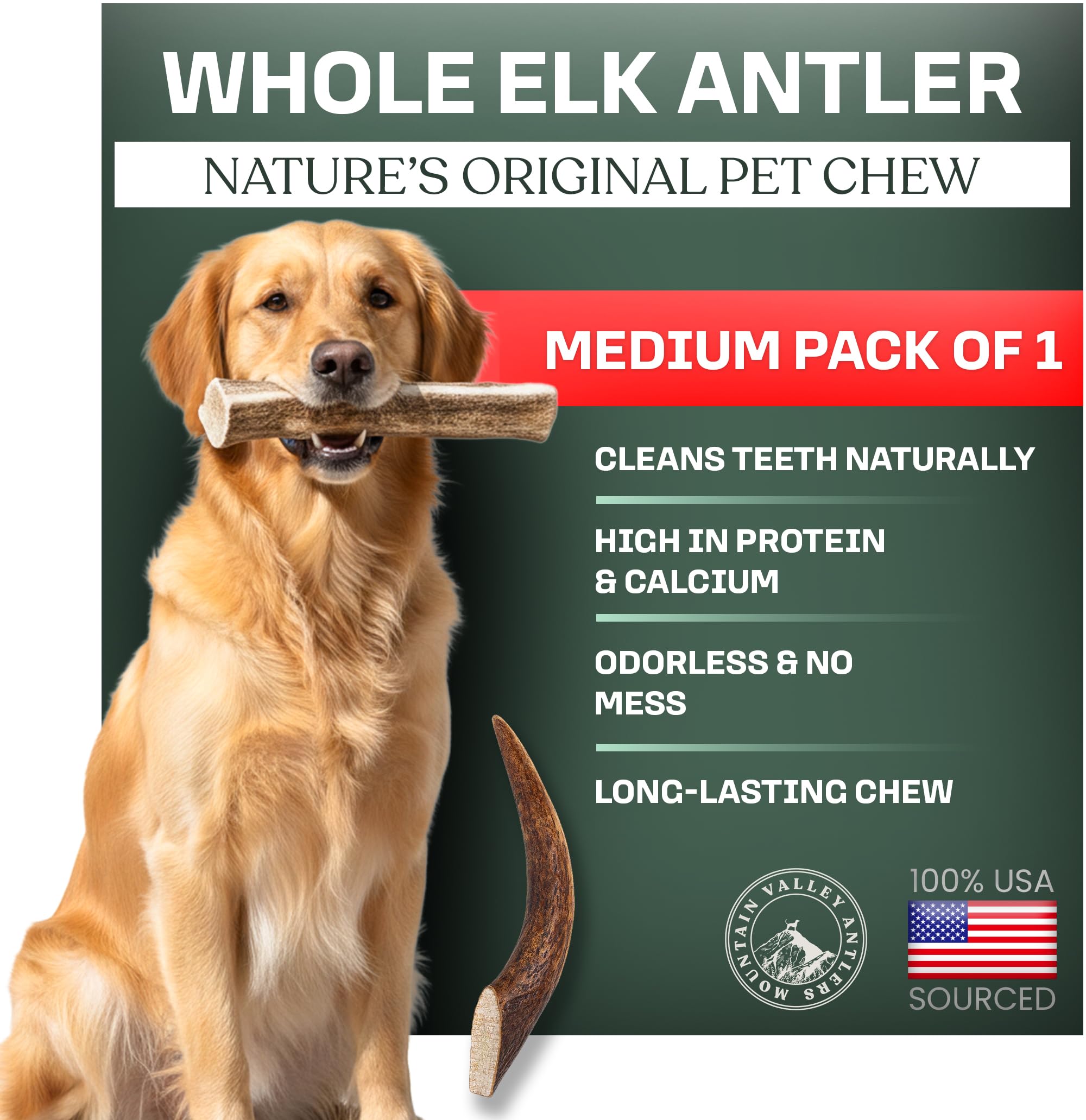 Mountain Valley Elk Antlers dog chew close-up showing natural texture for long-lasting teeth cleaning