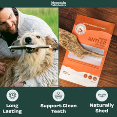 Mountain Valley Moose Antlers odorless, mess-free chew ideal for indoor use