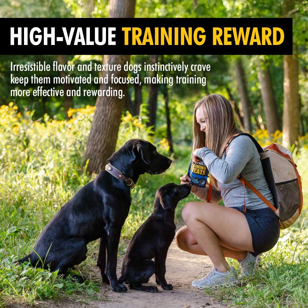 Mountain Wild High Country blueberry-infused bites for immune-support wellness