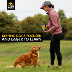 Mountain Wild Training Treats elk-venison protein, wild-sourced nutrition for active dogs