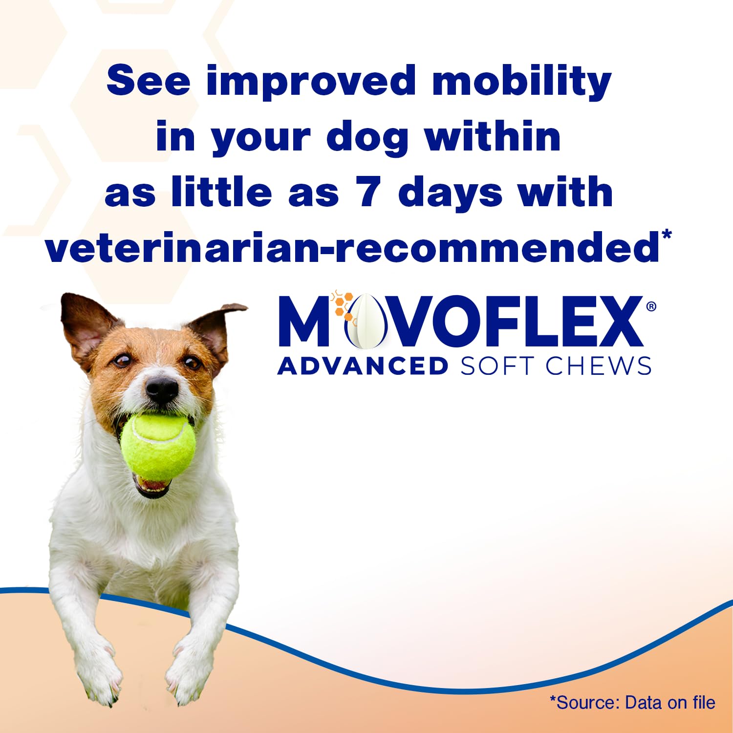 MOVOFLEX chicken flavor soft chew close-up for daily joint support