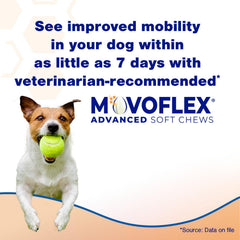MOVOFLEX chicken flavor soft chew close-up for daily joint support