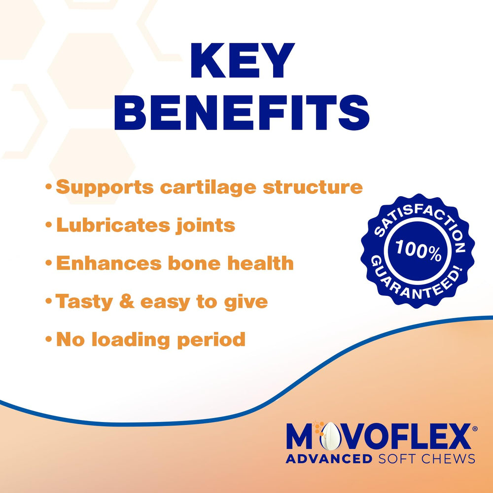 MOVOFLEX two-month supply bottle image for dogs over 80 lb.
