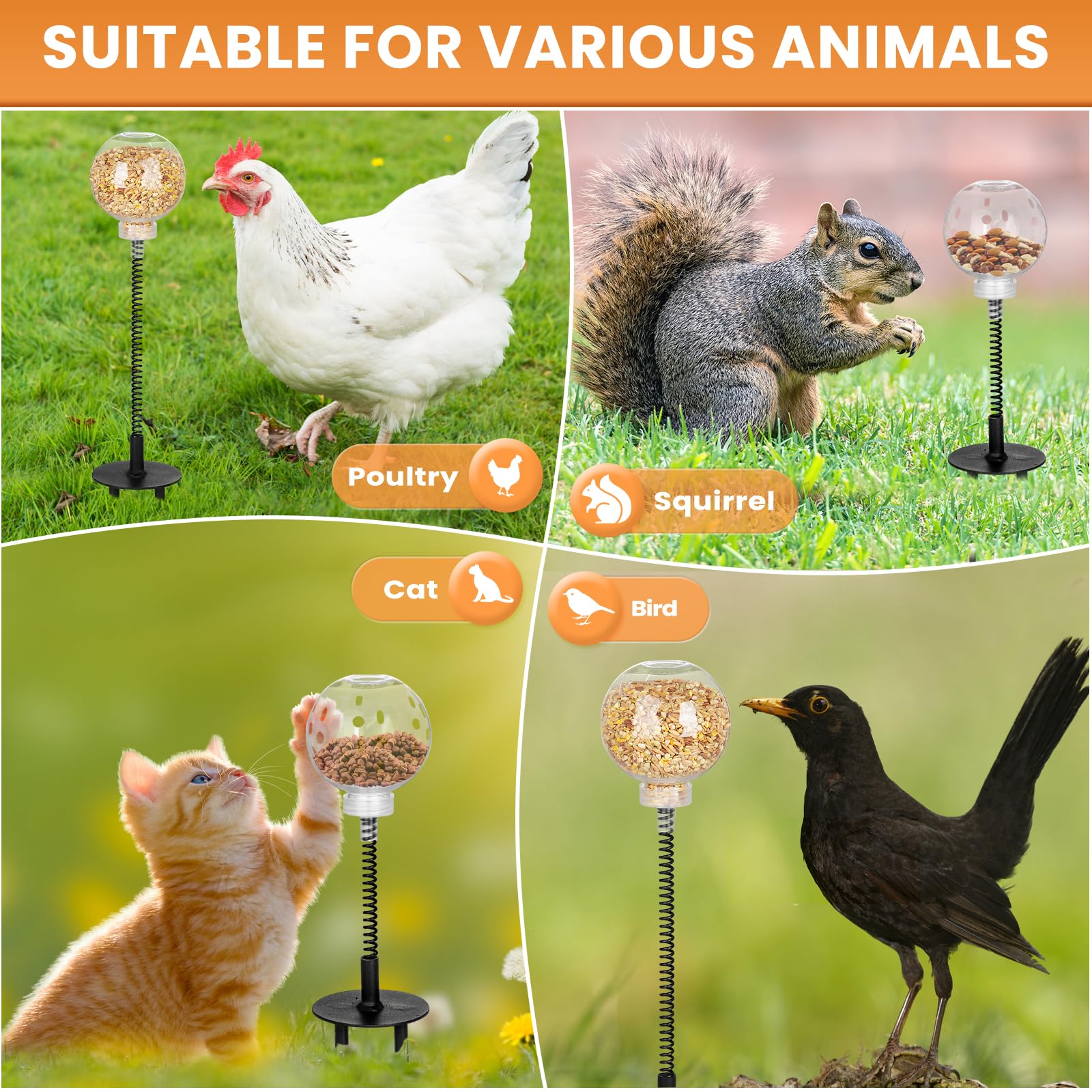 Moyardow Peck Toy keeps hens engaged during free-range play