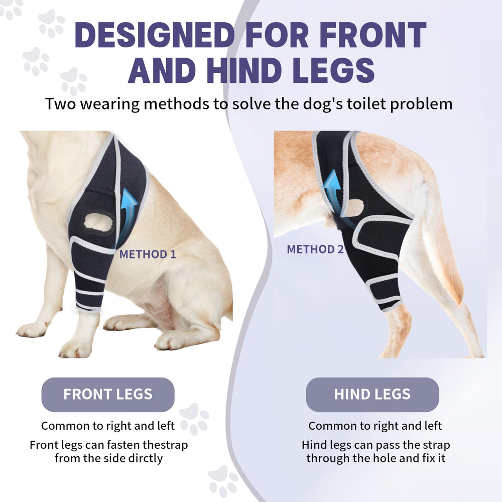 Moysoon knee brace breathable perforated fabric keeps dog cool