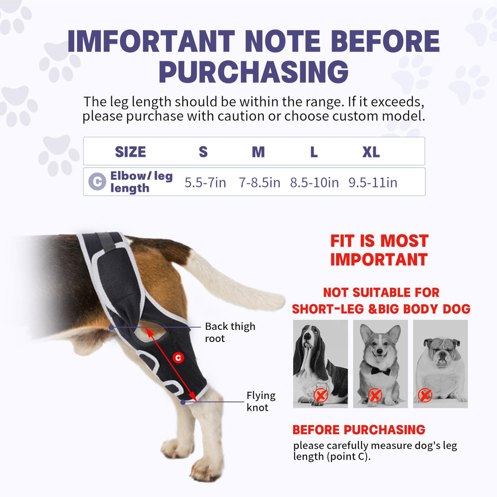 Moysoon knee brace stabilizes hind legs during walks and stairs