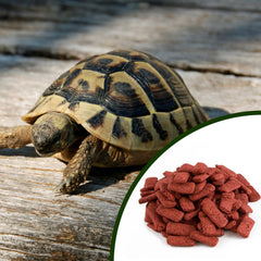 Mozaic Tortoise Pellets mash-softened shows easy prep and versatile topping.