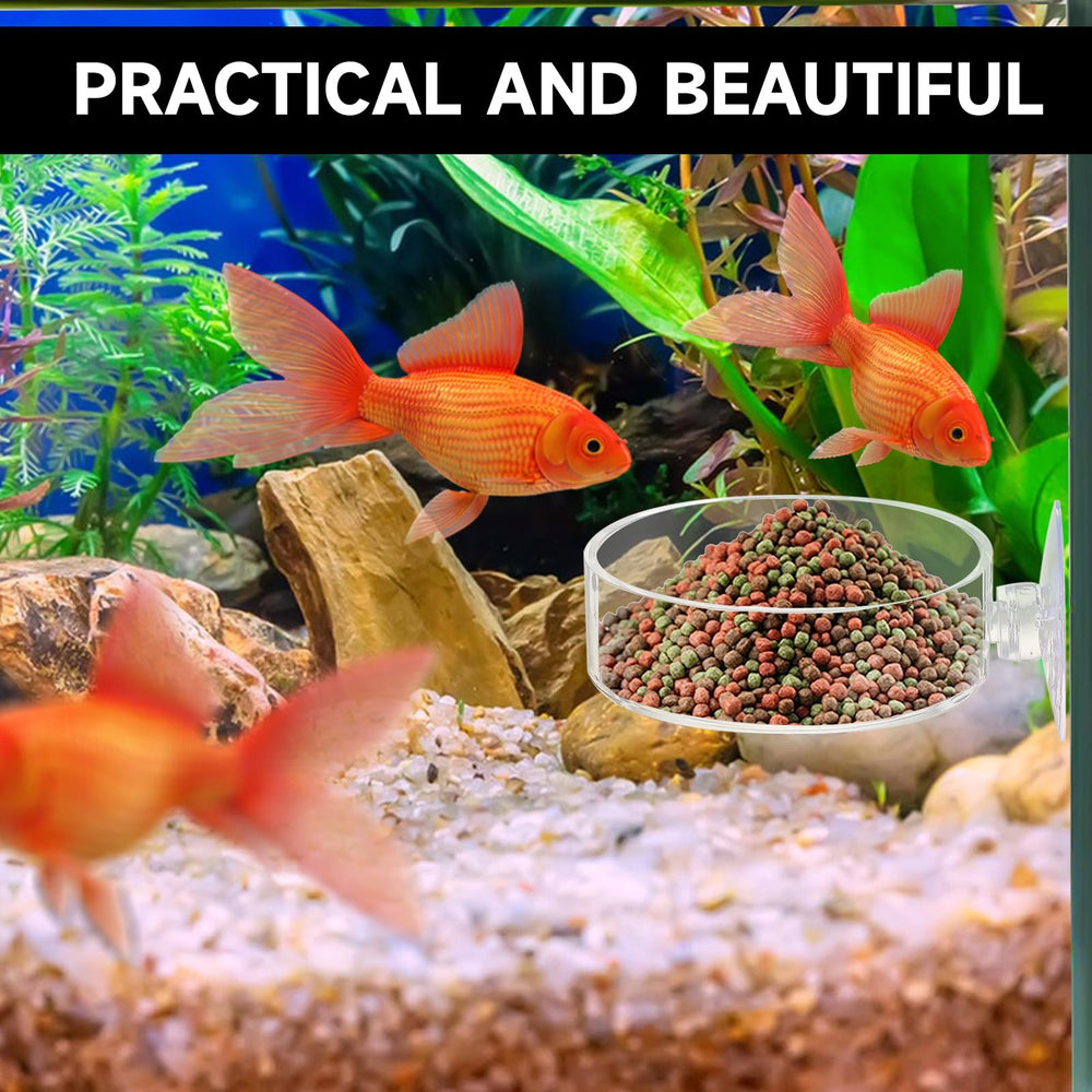 Mozeat Lens adjustable height feeder dish helps monitor food level