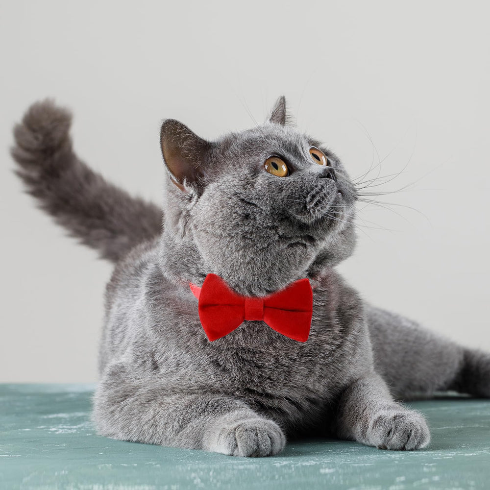 Mozeat Lens removable bowtie and bell for versatile styling.