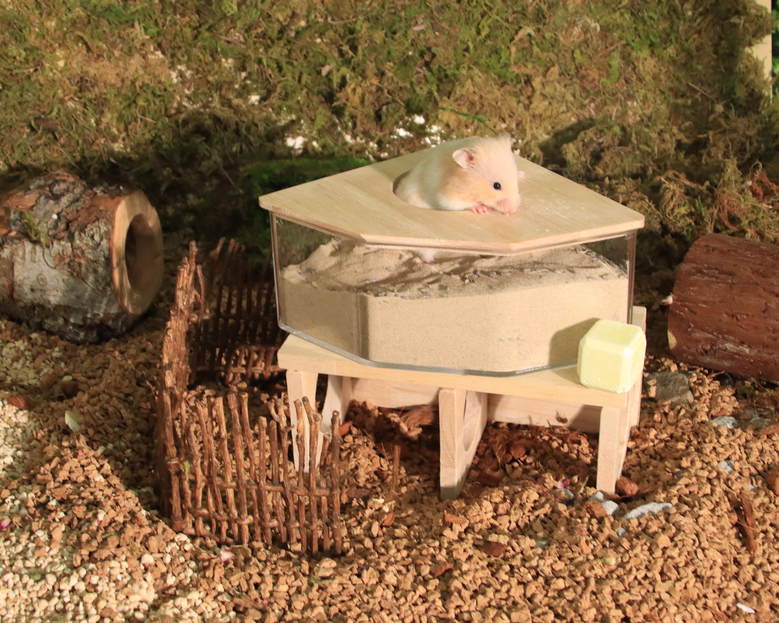 MPMLMF decorative design adds a pleasant accent to the cage while offering functional bathing