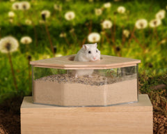 MPMLMF hamster sand bath box rectangle offers ample space for stress-free sand play