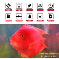MQ remote brightness close-up enabling adjustable tank lighting.