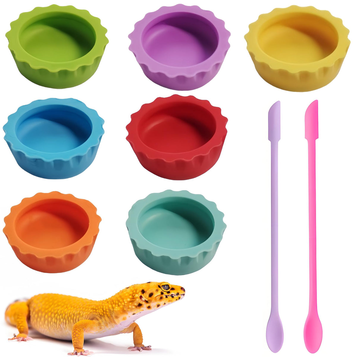 MQACPUPY 9pcs crested gecko food dishes in vibrant colors for easy mealtime portioning