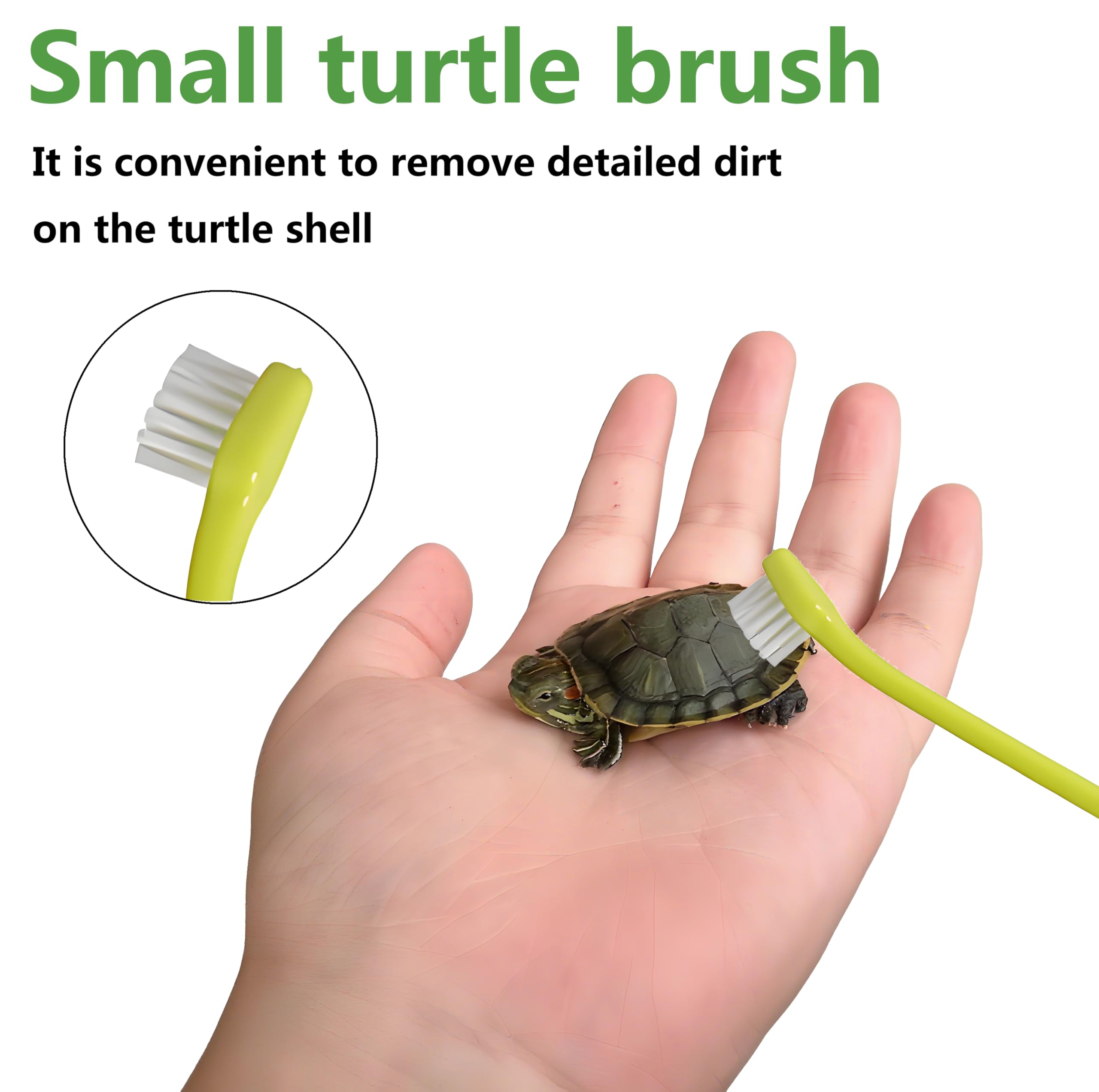 MQACPUPY durable-TPR-PP materials turtle brushes long-lasting use