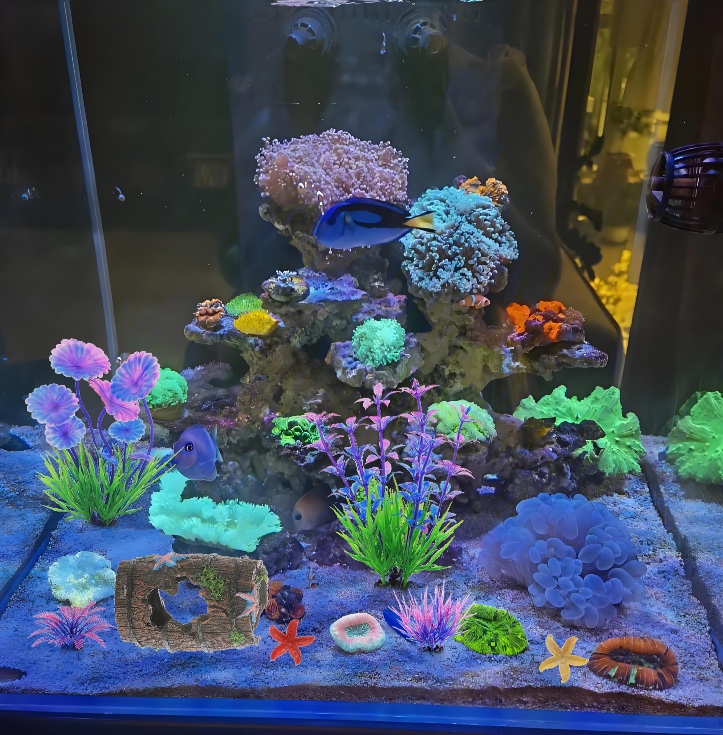 MQACPUPY tank decor mix creates a low-maintenance beta or goldfish habitat.