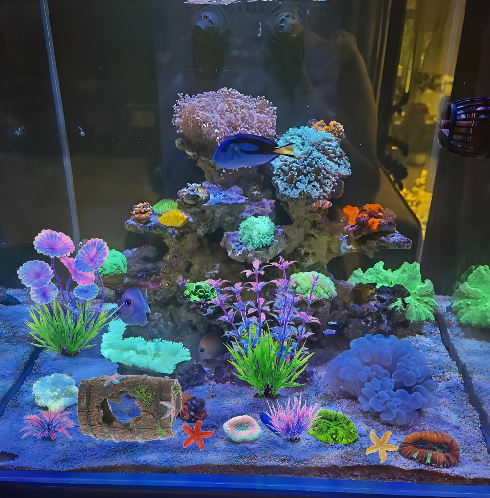 MQACPUPY tank decor mix creates a low-maintenance beta or goldfish habitat.