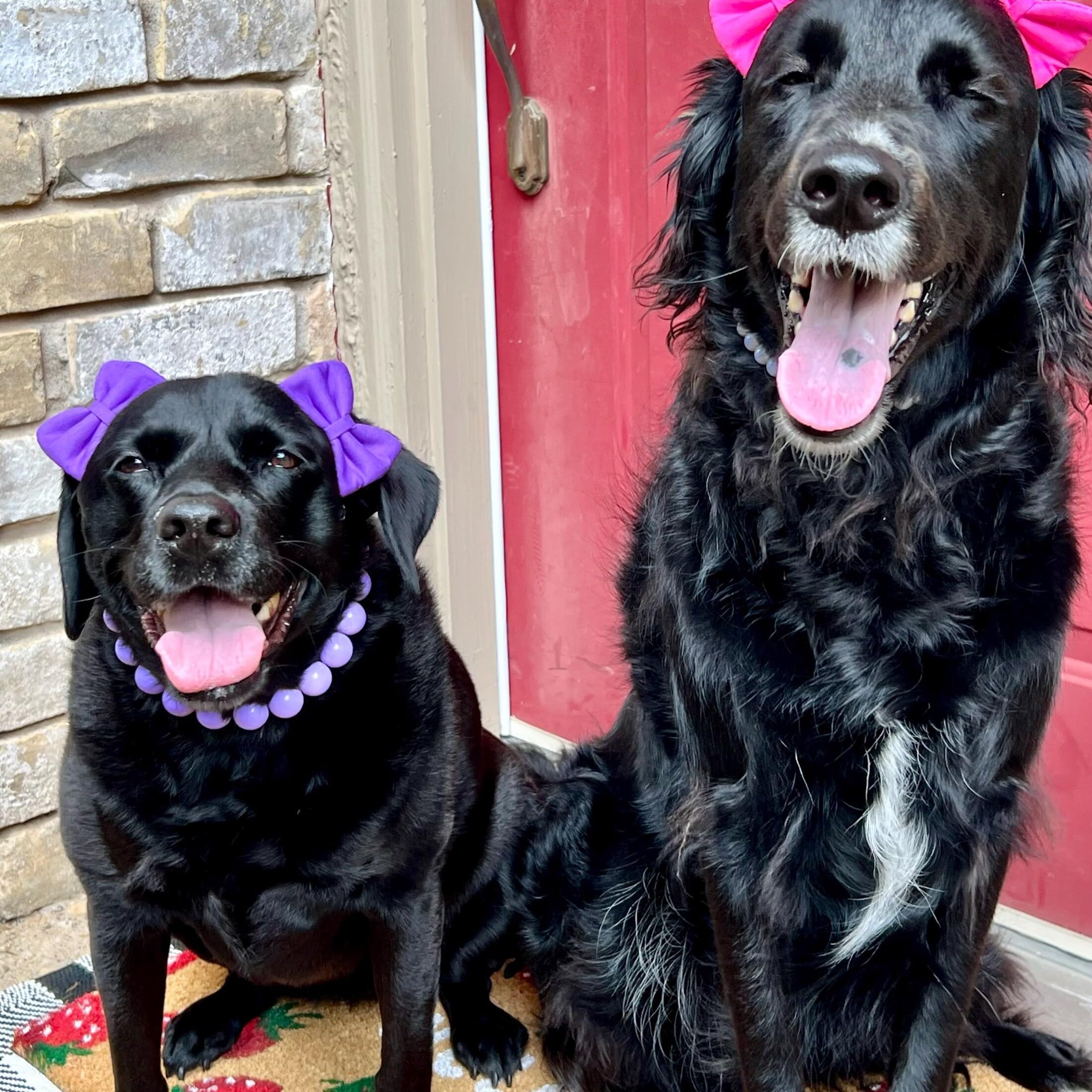 mqajdv dog hair double bow headband adjustable band shows secure fit