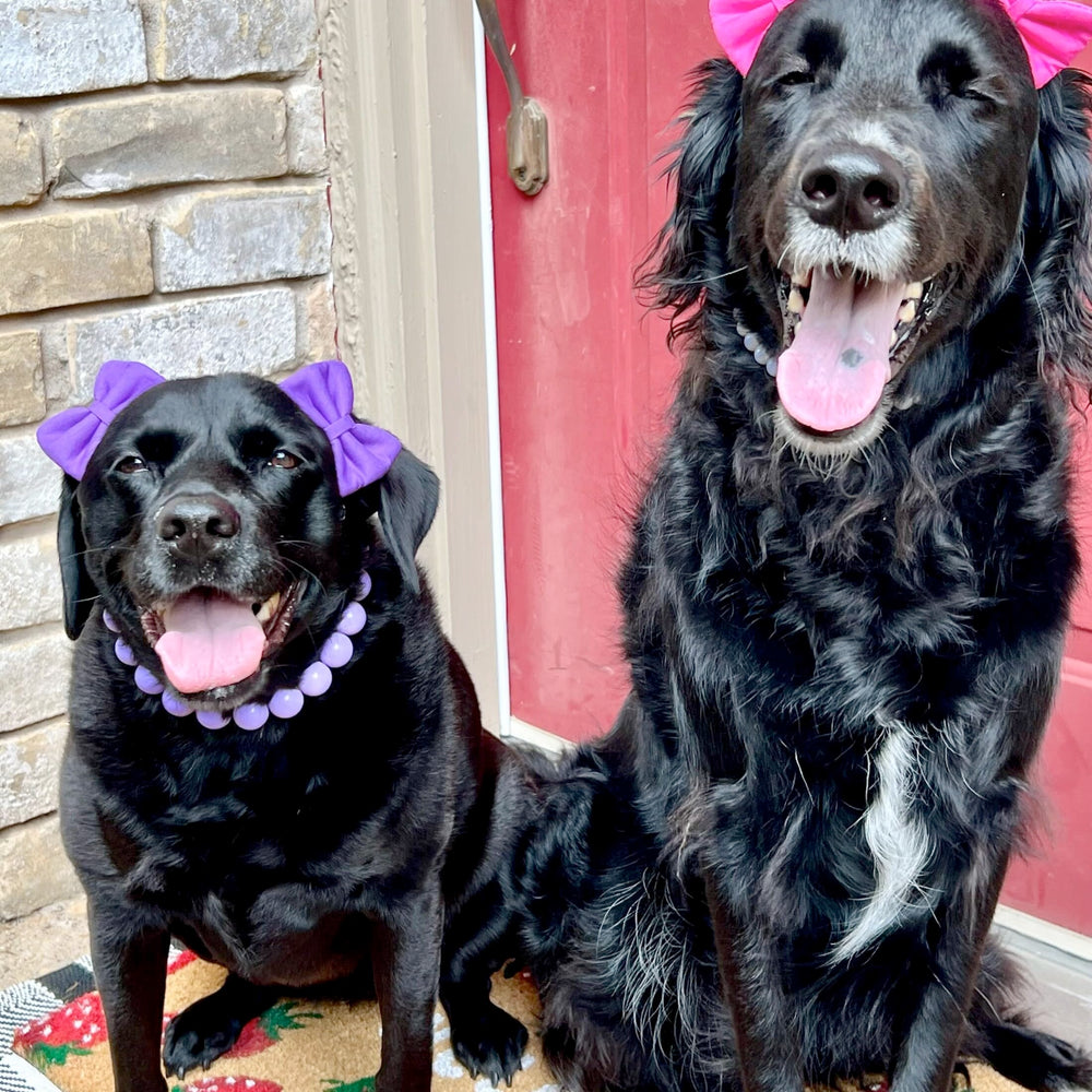 mqajdv dog hair double bow headband adjustable band shows secure fit
