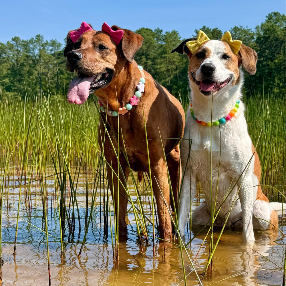 mqajdv dog hair double bow headband set three-pack lifestyle photos