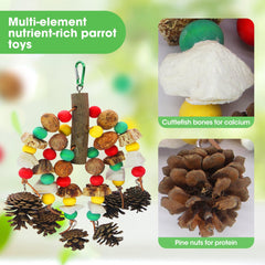MQUPIN parrot toy wooden mango cones provide varied textures for gnawing and nutrition