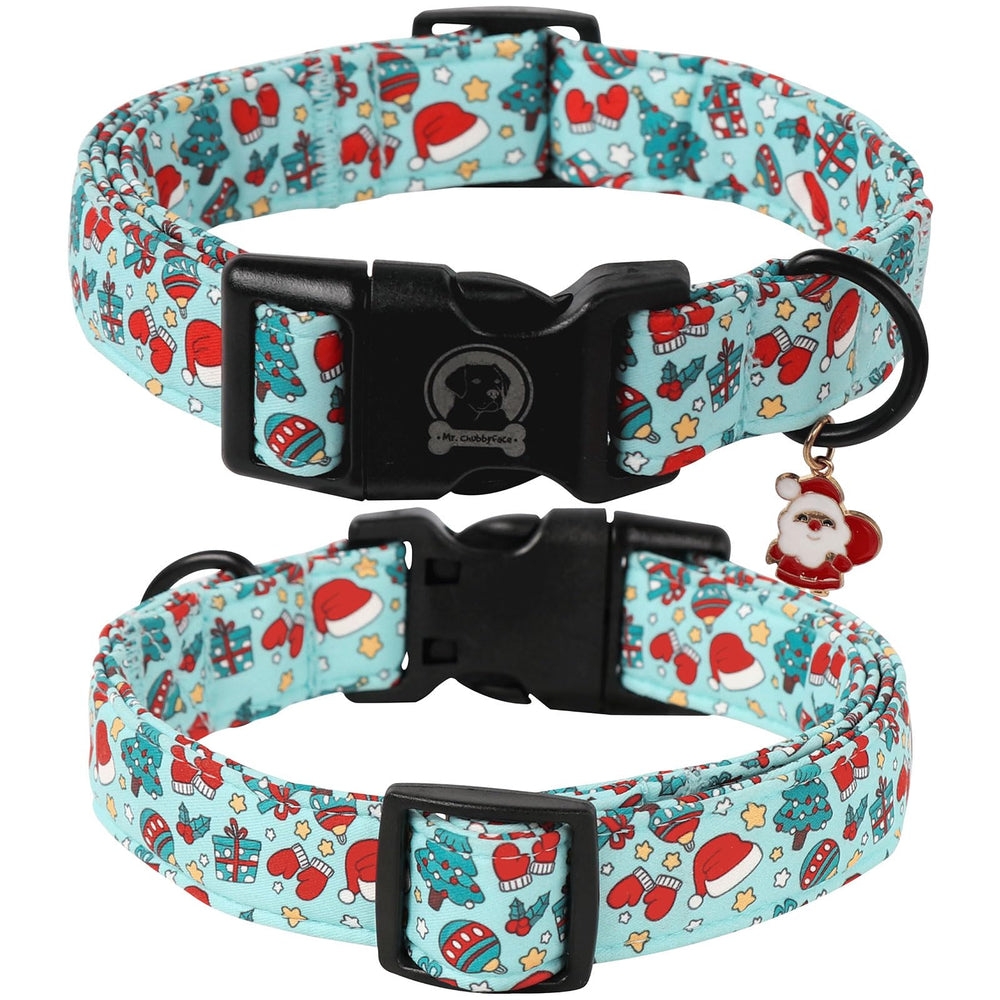 MR.CHUBBYFACE blue box pattern collar on a dog during a walk