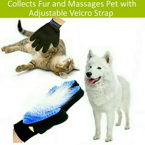 Mr. Peanut's grooming glove demonstrates fur shedding reduction on a pet during brushing.