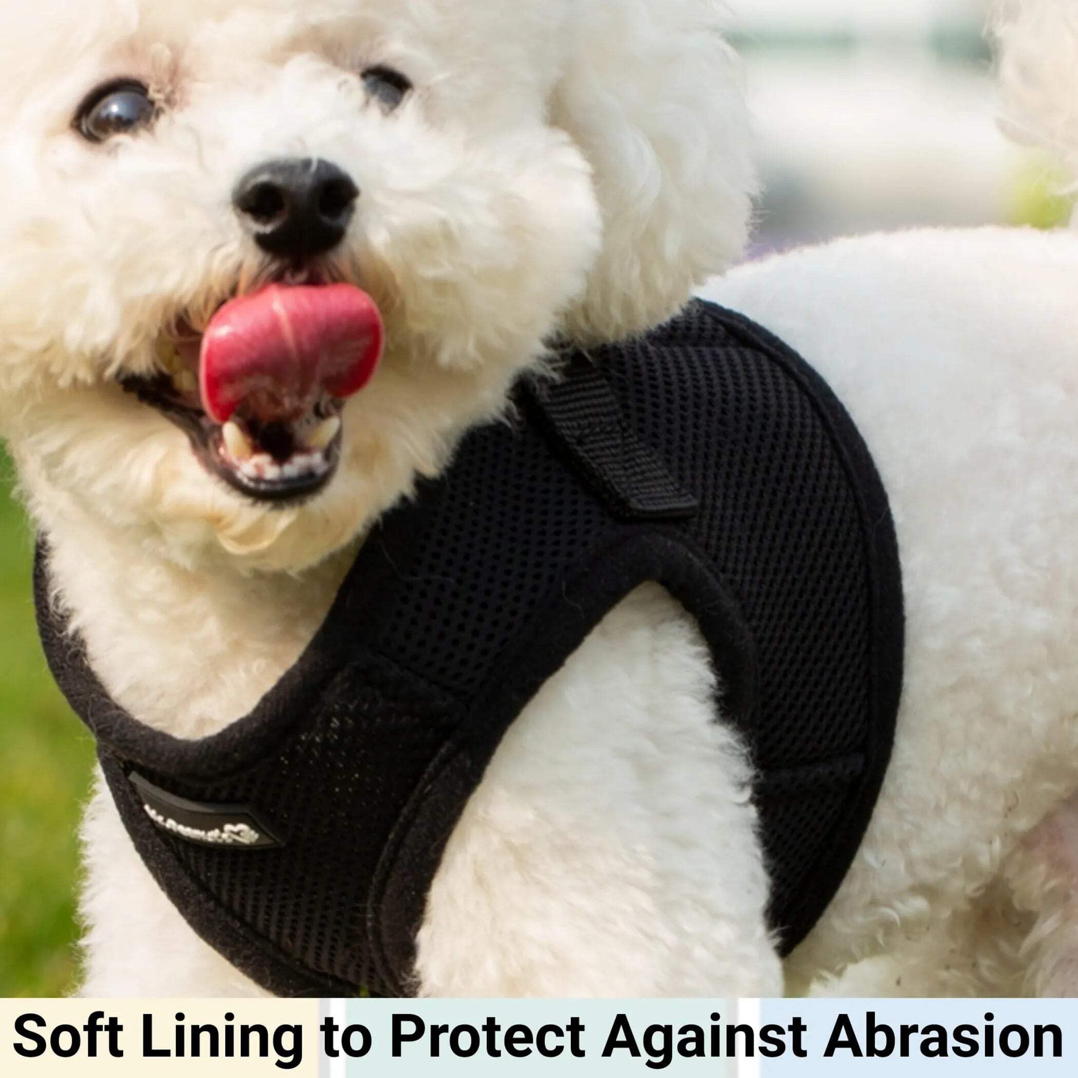 Mr. Peanut's PupTrek XS harness breathable mesh keeps pet cool during walks.