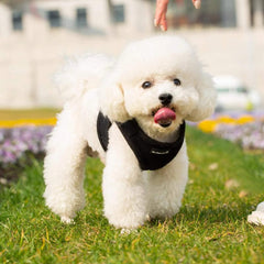 Mr. Peanut's PupTrek XS harness closeup of two D-rings and soft padding for security.