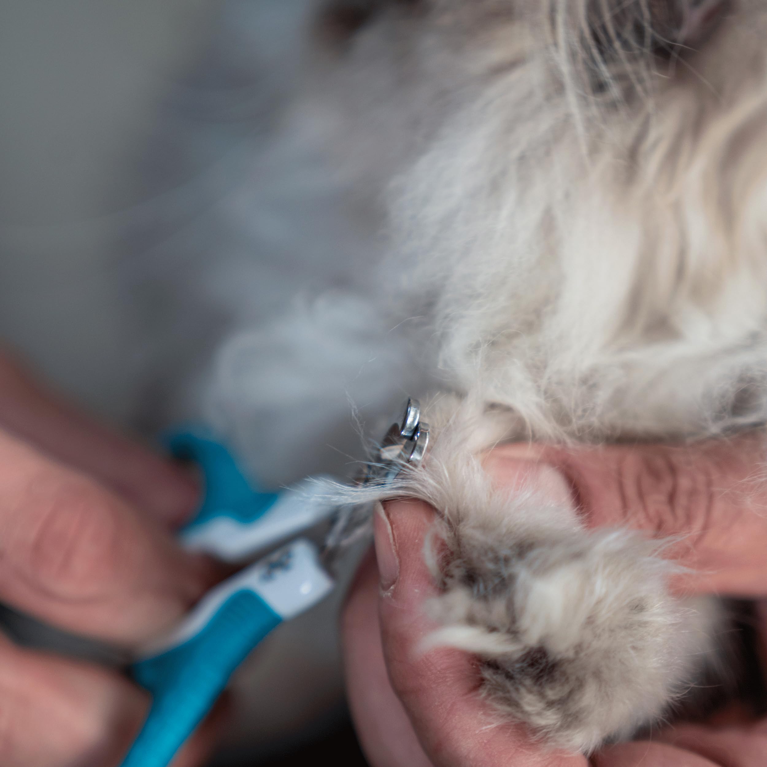 Mr. Pen cat nail clipper easy-to-use grooming tool.