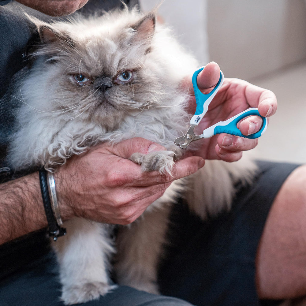 Mr. Pen cat nail clipper designed for all breeds and sizes.