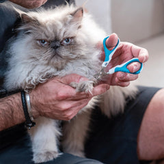 Mr. Pen cat nail clipper designed for all breeds and sizes.