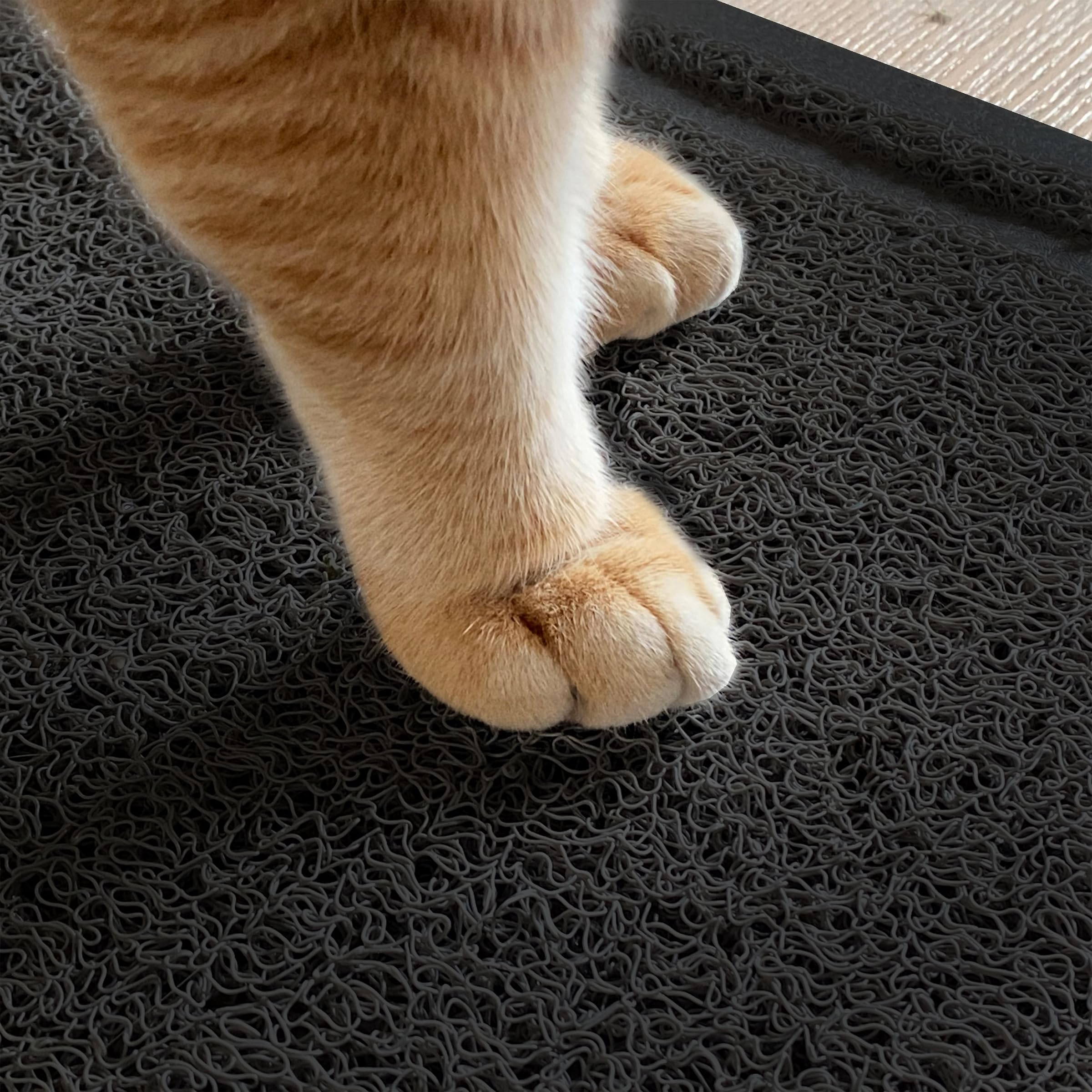 Mr. Pen mat suitable for busy rooms like kitchen or living areas.