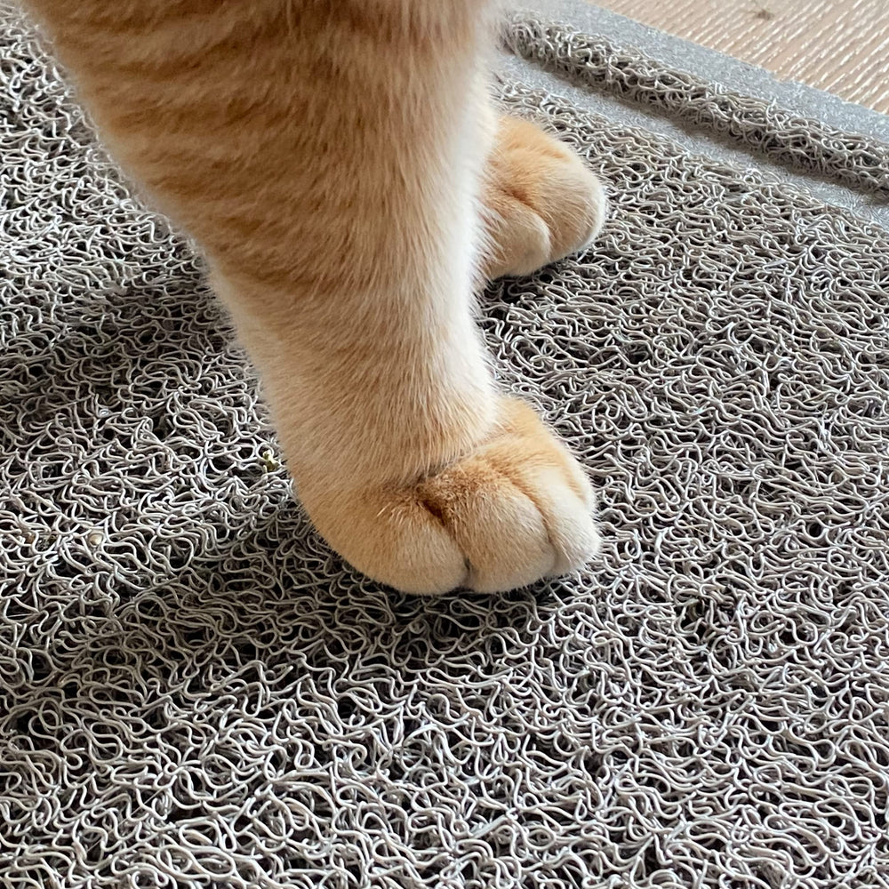 Mr. Pen large cat litter mat gray color suits modern homes.