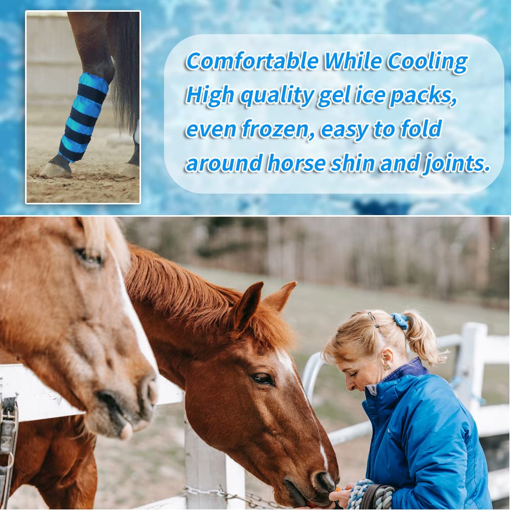 MR.ICE blue horse ice boots offer stylish recovery support.