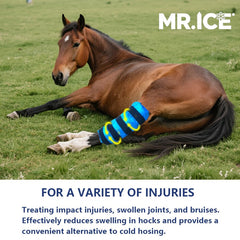 MR.ICE Horse Ice Boots on leg with adjustable straps for secure wrap.