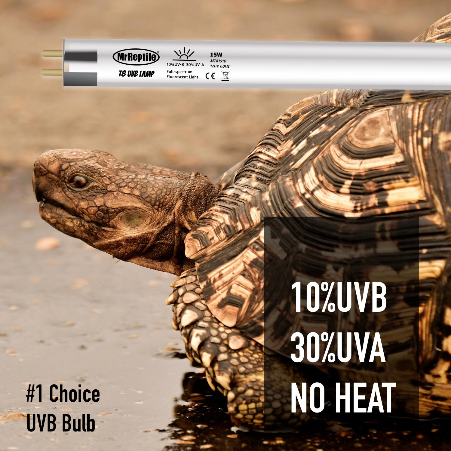 MRREPTILE bearded dragon basking scene with a MRREPTILE T8 UVB bulb.